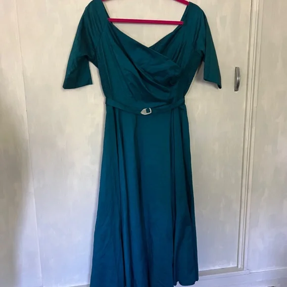 Gorgeous semi formal raw silk dress - Picture 8 of 16